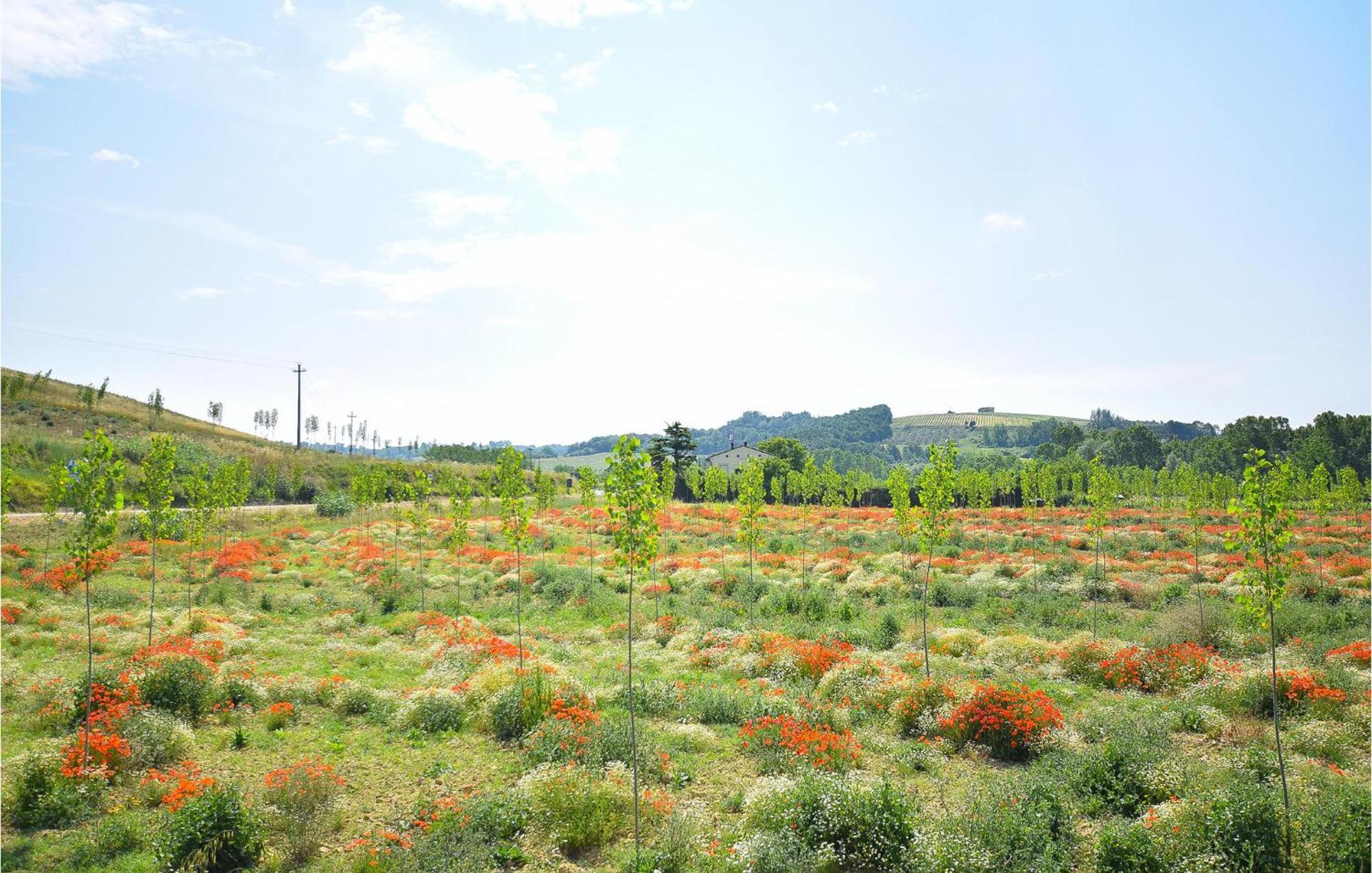 Awesome Home In Montefoscoli With Wifi 외부 사진